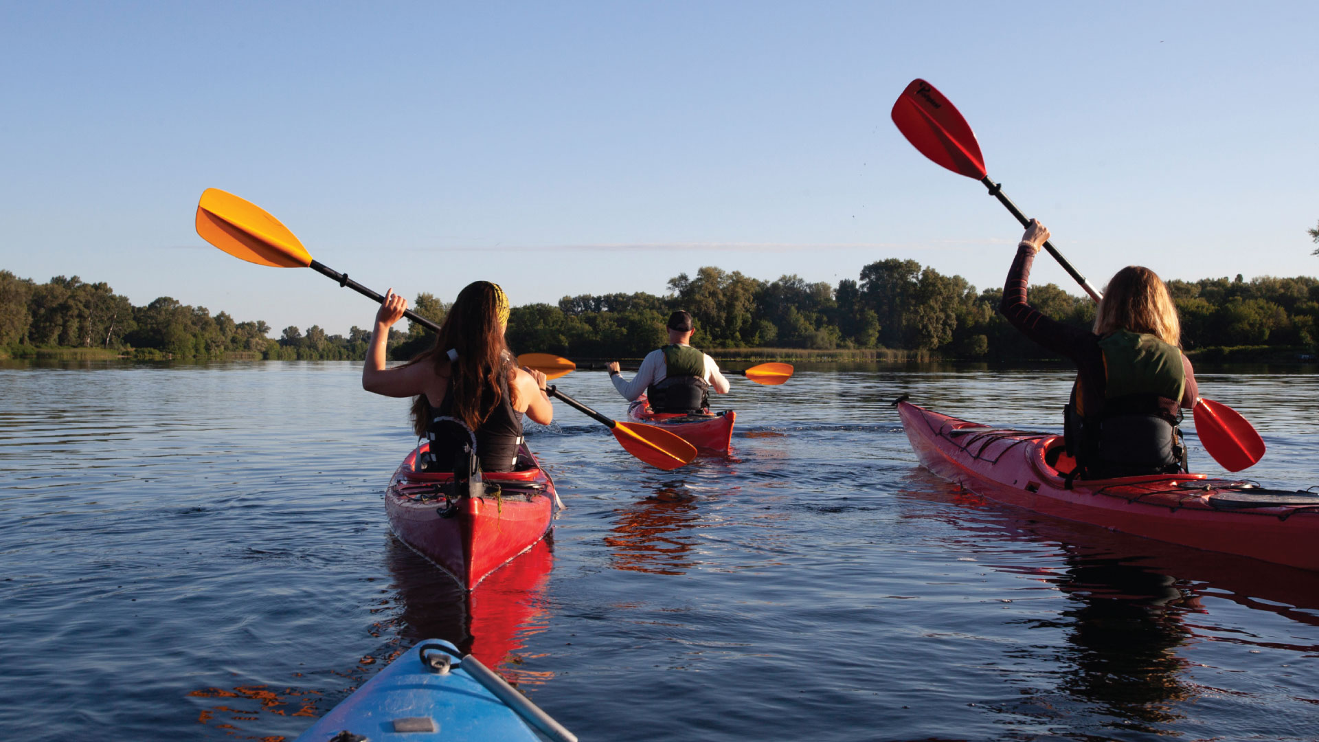 People canoeing